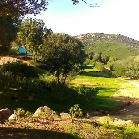 Farm Stay Gli Oleandri Loiri Porto San Paolo Eksteriør bilde