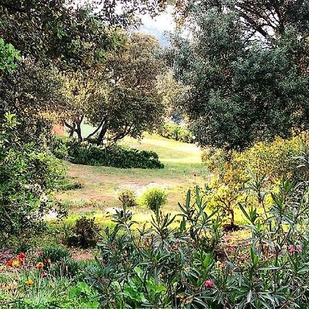 Farm Stay Gli Oleandri Loiri Porto San Paolo Eksteriør bilde
