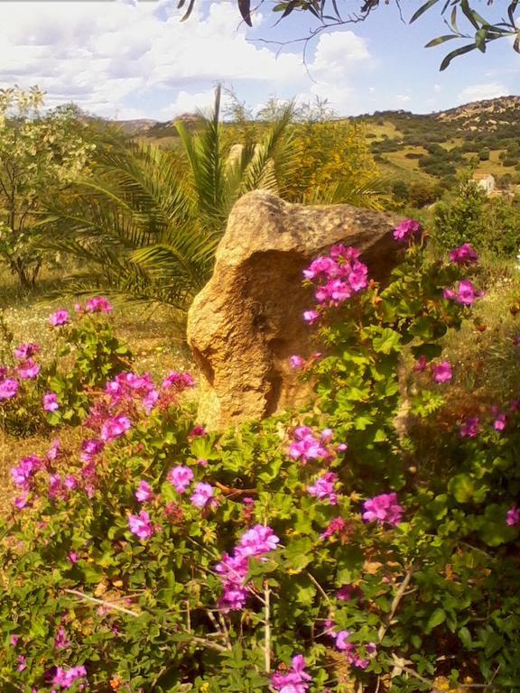 Farm Stay Gli Oleandri Loiri Porto San Paolo Eksteriør bilde