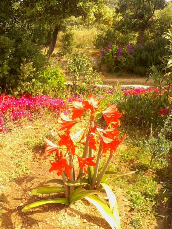 Farm Stay Gli Oleandri Loiri Porto San Paolo Eksteriør bilde