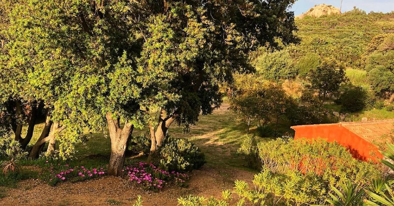 Farm Stay Gli Oleandri Loiri Porto San Paolo Eksteriør bilde