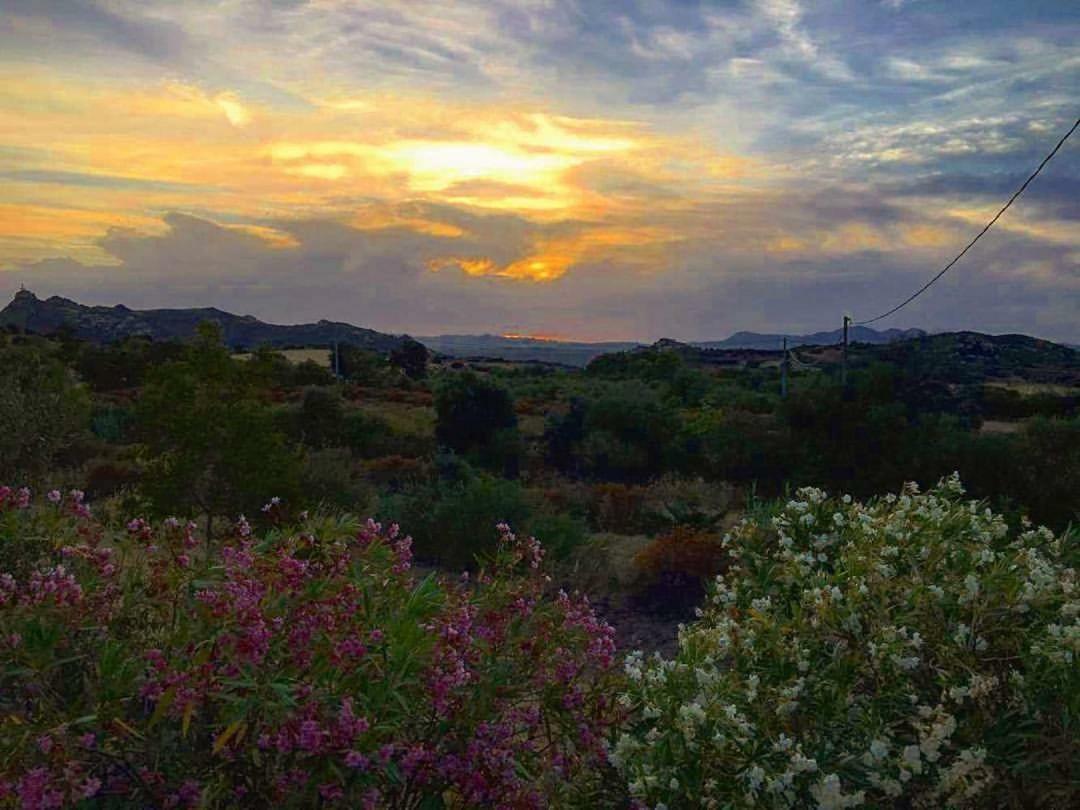 Farm Stay Gli Oleandri Loiri Porto San Paolo Eksteriør bilde