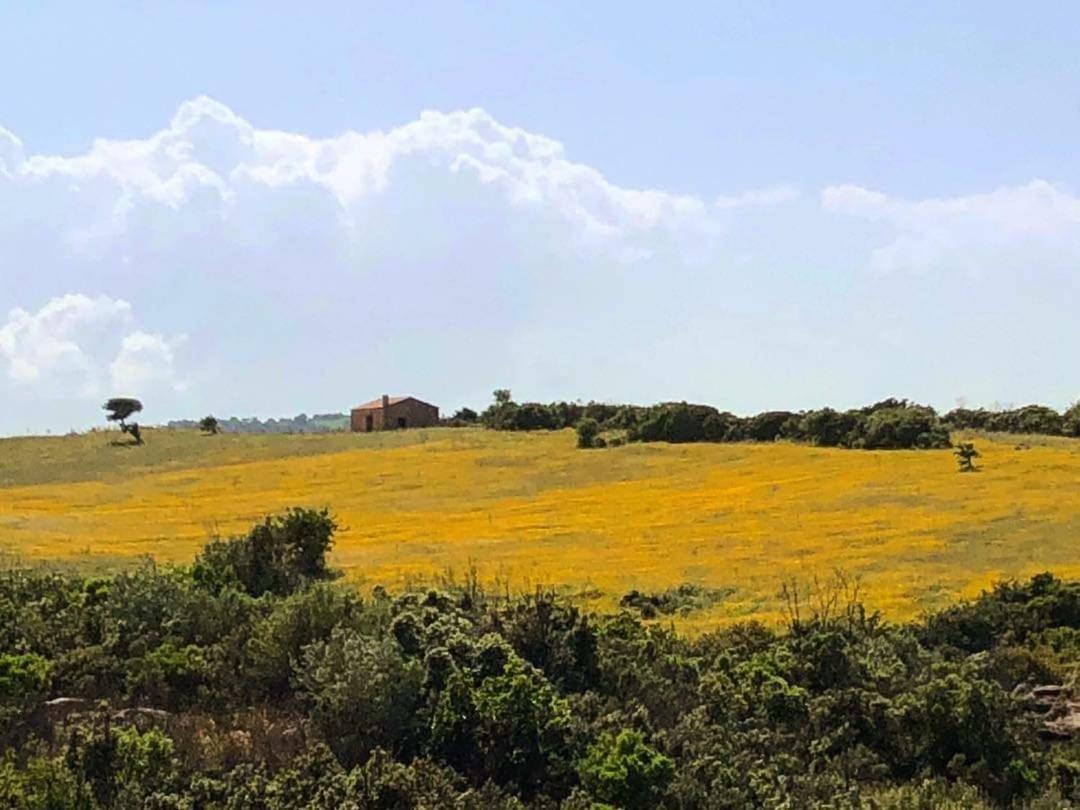 Farm Stay Gli Oleandri Loiri Porto San Paolo Eksteriør bilde